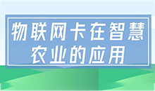 物聯(lián)卡在智慧農業(yè)中的應用